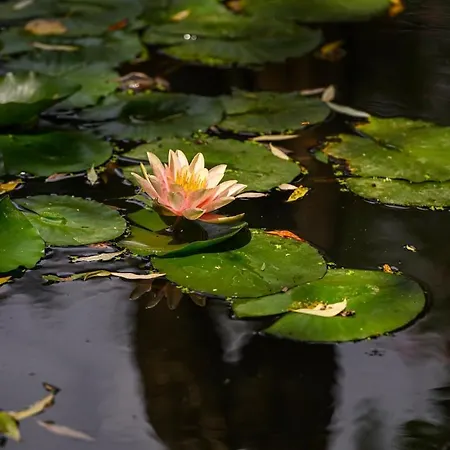 Nike Country Retreat - 8 Apartment Controguerra