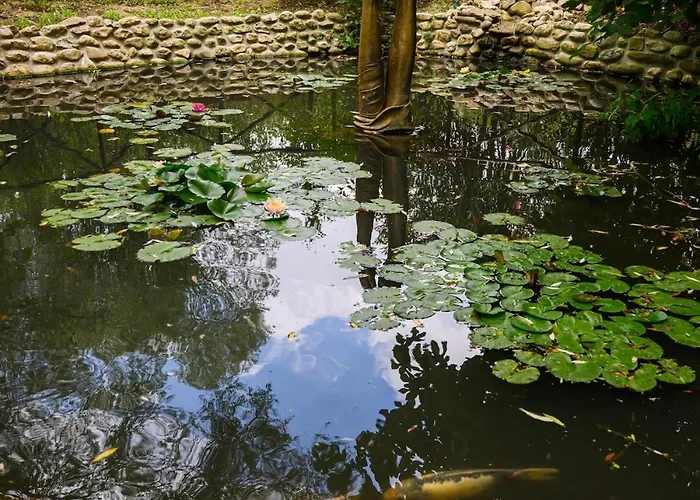 Apartment Nike Country Retreat - 8 *