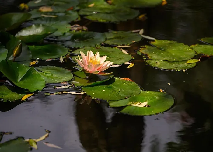 Nike Country Retreat - 8 Apartment Controguerra