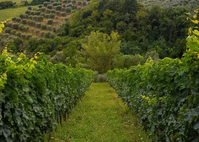 Nike Country Retreat - 8 Apartment *